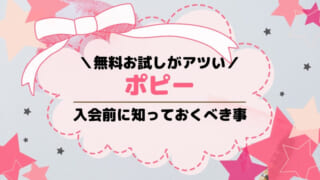 幼児ポピーの無料お試し見本レビュー！資料請求の中身とやり方を画像で解説