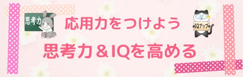 応用力をつけたい人におすすめ