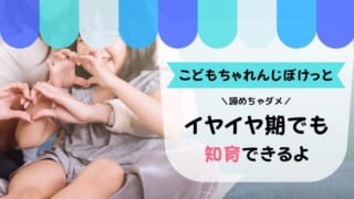 こどもちゃれんじぽけっとは2歳から始めるべき？効果と口コミを紹介