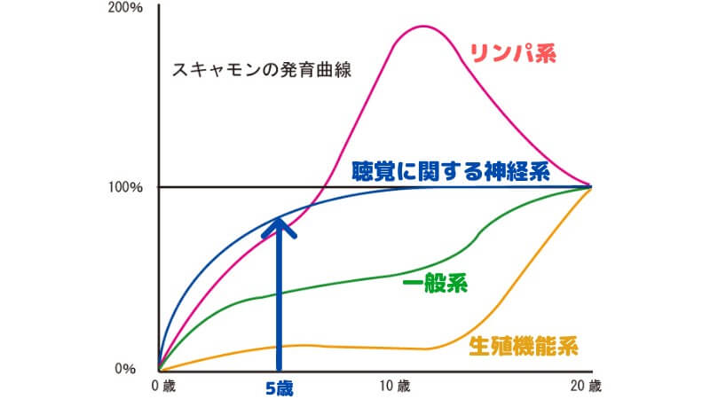 スキャモンの成長曲線