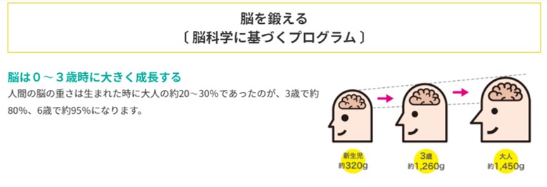 赤ちゃんの脳に関する資料