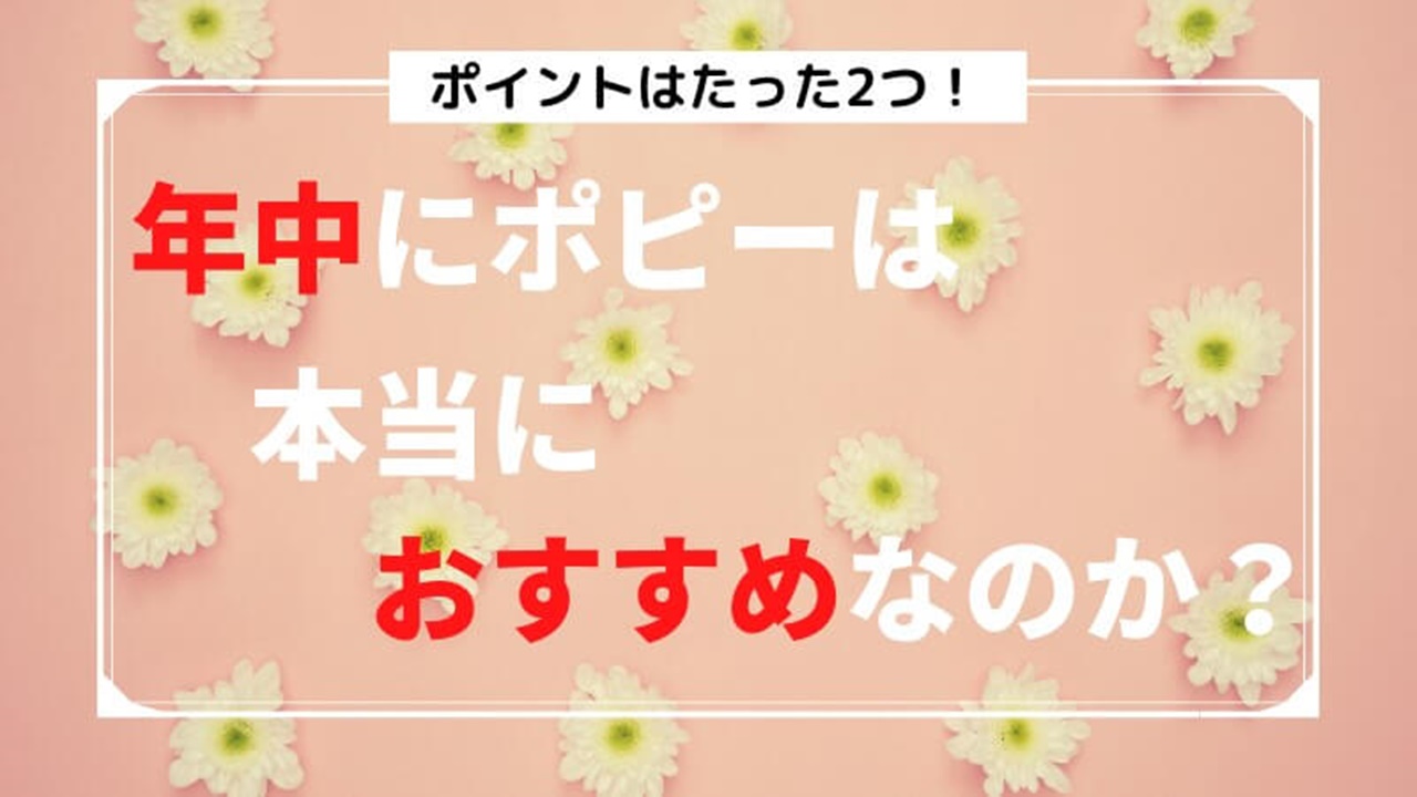 ポピー年中あかどりの口コミ！年中コースをレビュー｜ちいく村｜幼児