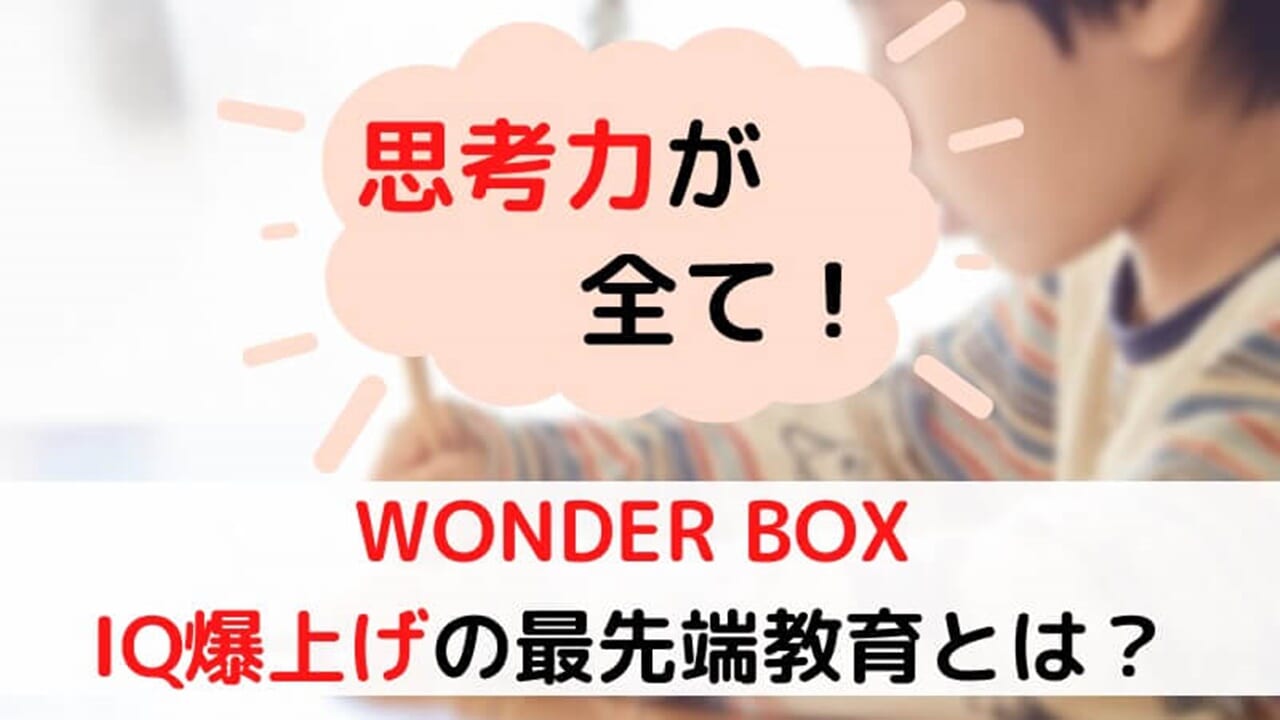 【口コミ｜評判】ワンダーボックスの知育効果は？メリット・デメリットを完全解説