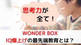 【口コミ｜評判】ワンダーボックスの知育効果は？メリット・デメリットを完全解説