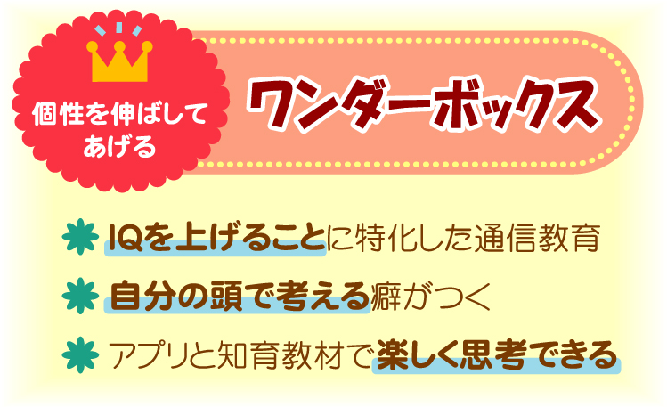発達障害におすすめのタブレット学習：ワンダーボックス