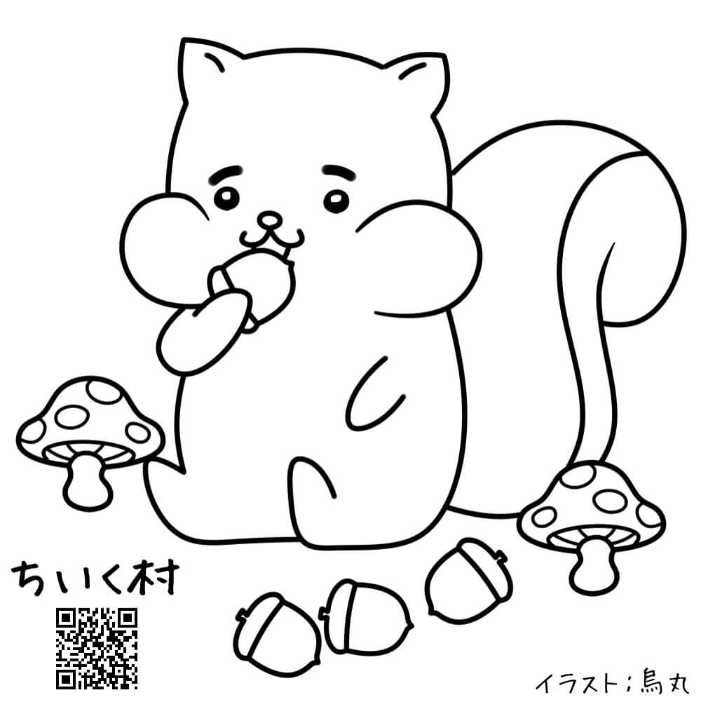 かわいい動物塗り絵リス