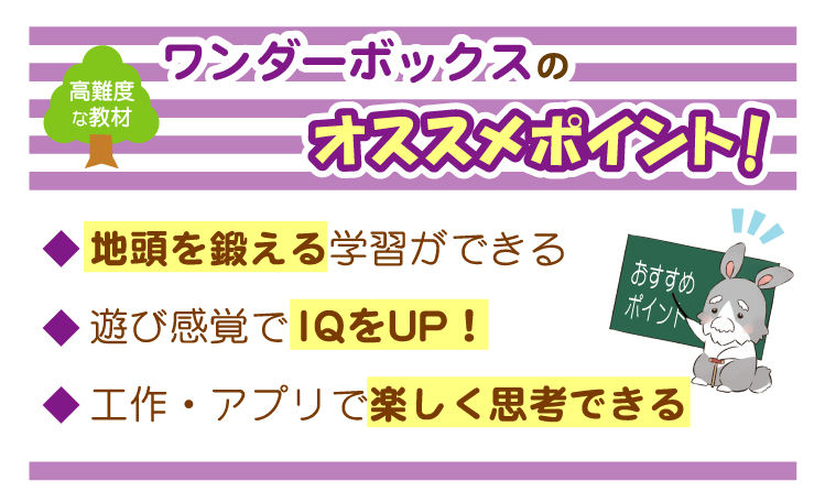 ワンダーボックスのおすすめポイント