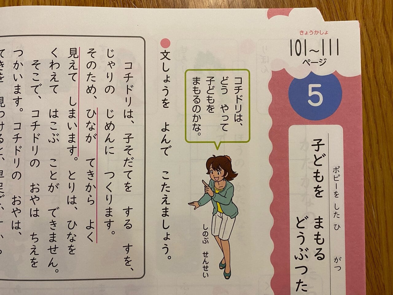 教科書のページがかかれている